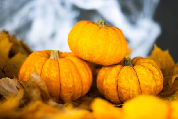 Bronze and gold pumpkins on wooden crate with copy space. Thanksgiving background