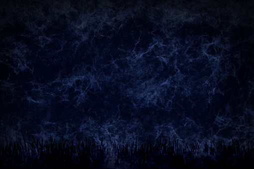 Dark blue black coloured monochrome backdrop with stormy spooky scary halloween theme midnight scene and grass at bottom edge. There is no people and no text.