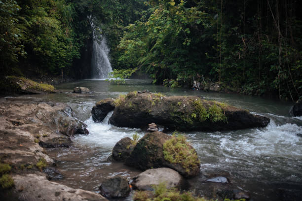 istock Jungle river and waterfall on background. Bali, Ubud. 1716338658