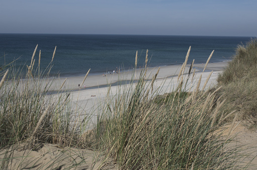 Sand dunes on the isle of Rottumeroog in The Netherlands. North sea in the background.