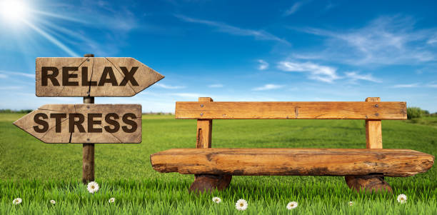 istock Empty Wooden Bench and Directional Signs with Text Relax and Stress 1716366395