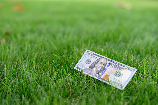 Close up 100 Dollar bank note on grass background. One hundred American dollars. High quality photo