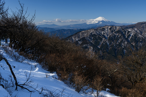Mount Oyama is located to the east of the Tanzawa Mountains. From the top of the mountain, you can see a spectacular view of Shonan and the buildings of Tokyo.