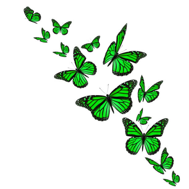 istock Green monarch butterflies 1716402946