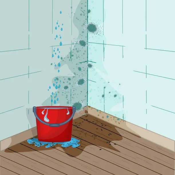 Vector illustration of Drops of water are dripping from ceiling into bucket. Wall with mold problem and bucket with water. Leaking roof, ceiling.