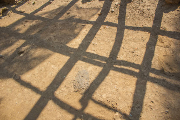 Shadows due to sunlight on a wooden fence