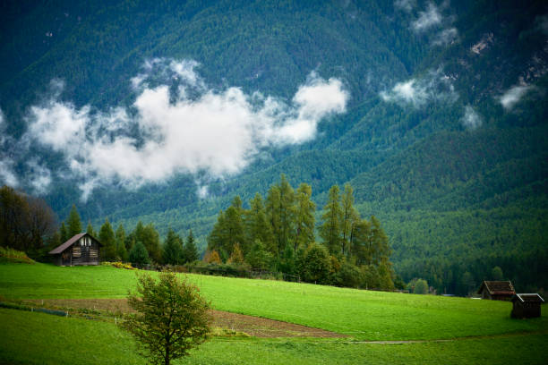 Meadow in Valley in Austria having lots of small houses like barns storing food for the animals for the winter.