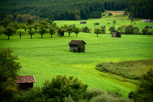 Meadow in Valley in Austria having lots of small houses like barns storing food for the animals for the winter.