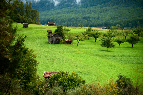 Meadow in Valley in Austria having lots of small houses like barns storing food for the animals for the winter.