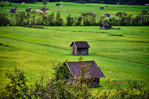 Alpe di Cisles. In the background the Odle - Val Gardena (Dolomites)