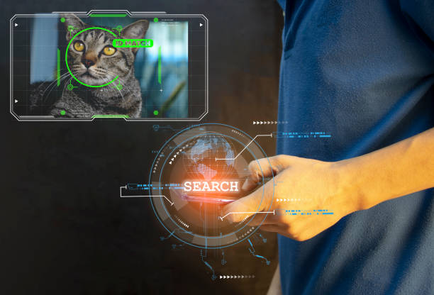 istock The concept of using artificial intelligence (AI) to find lost or lost pets. 1716482307