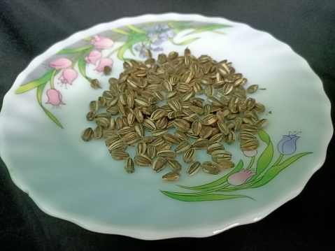 Close up of sunflower seeds on a plate.photo taken in malaysia