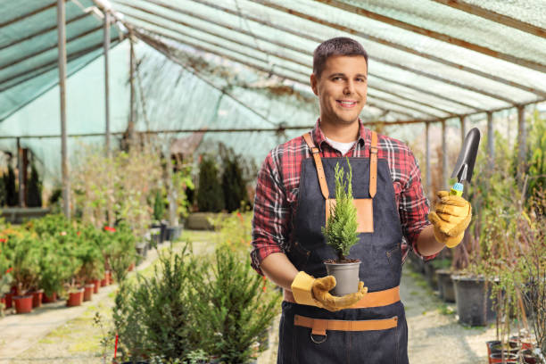 istock Gardener with a small tree in a pot and a spade 1716499485