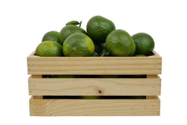istock Green oranges in  box isolated on white 1716500589