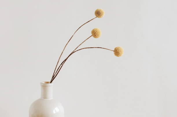 istock Dry flowers bouquet in ceramic vase near white wall. Copy space. 1716510486