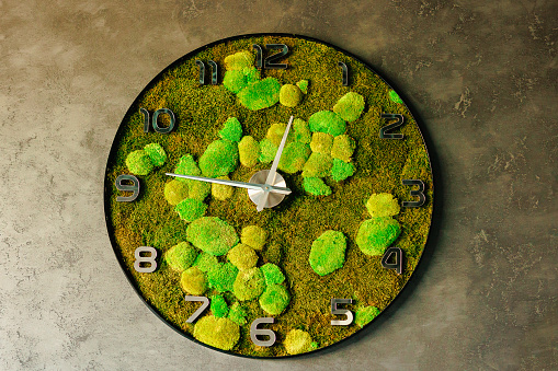 Photo clock on the wall, round clock, dial made of green decorative grass.