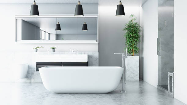 istock Modern Luxury Bathroom Design with a Bathtub 1716528763