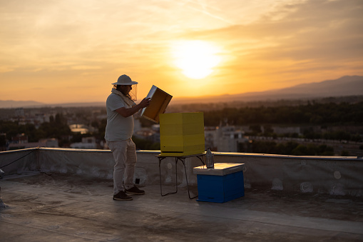 Urban beekeeper closing a beehive on building rooftop.