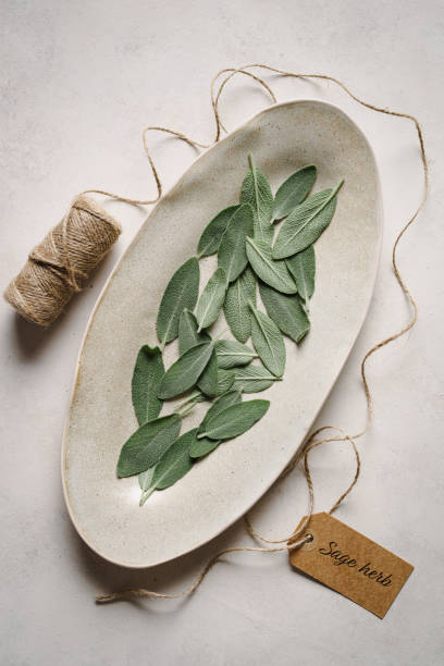 istock Leaves of sage herb on delicate backgrond. Top view. 1716548217