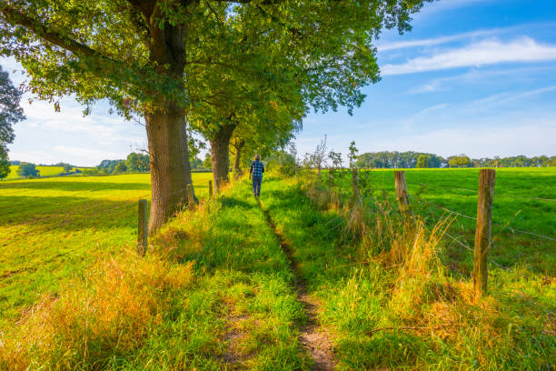 Fields and trees in a green hilly grassy landscape in autumn, Voeren, Limburg, Belgium, September 2023