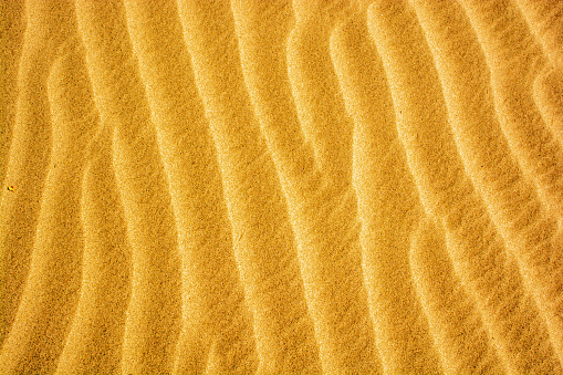 Rippled pattern of golden sand