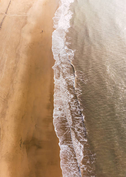 istock cenital view of a white sand beach 1716577351