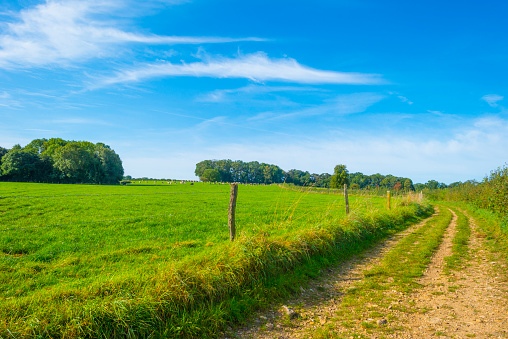 Fields and trees in a green hilly grassy landscape in autumn, Voeren, Limburg, Belgium, September 2023