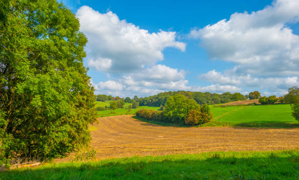 istock Fields and trees in a green hilly grassy landscape in autumn 1716578439