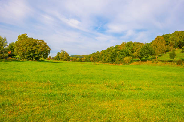 istock Fields and trees in a green hilly grassy landscape in autumn 1716578963