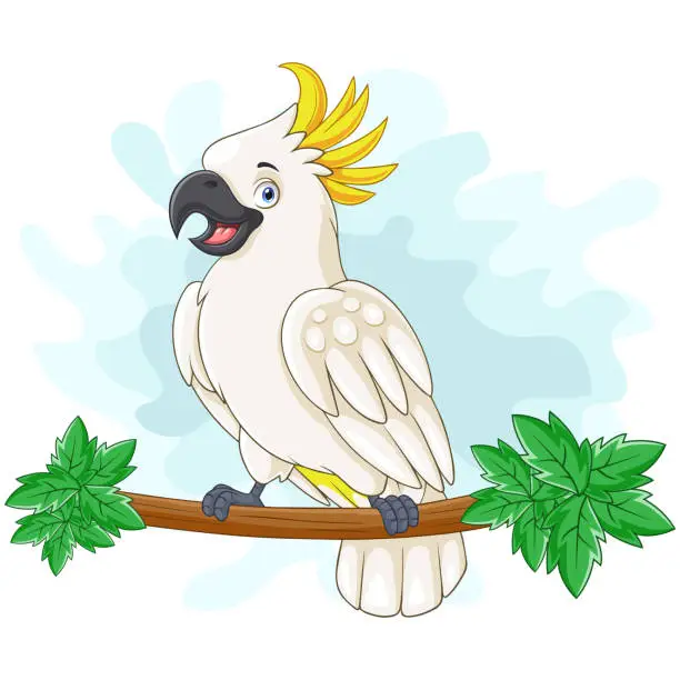 Vector illustration of Cartoon cockatoo bird sitting on a tree branch