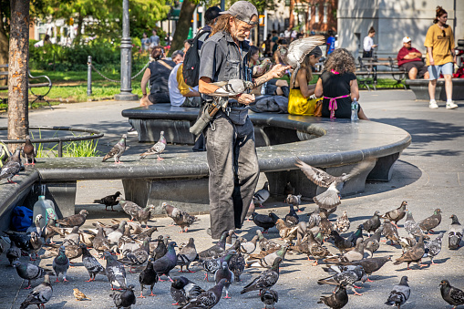 Washington Square Park, Manhattan, New York, USA - August 16th 2023:  Homeless man feeding the many almost tame pigeons