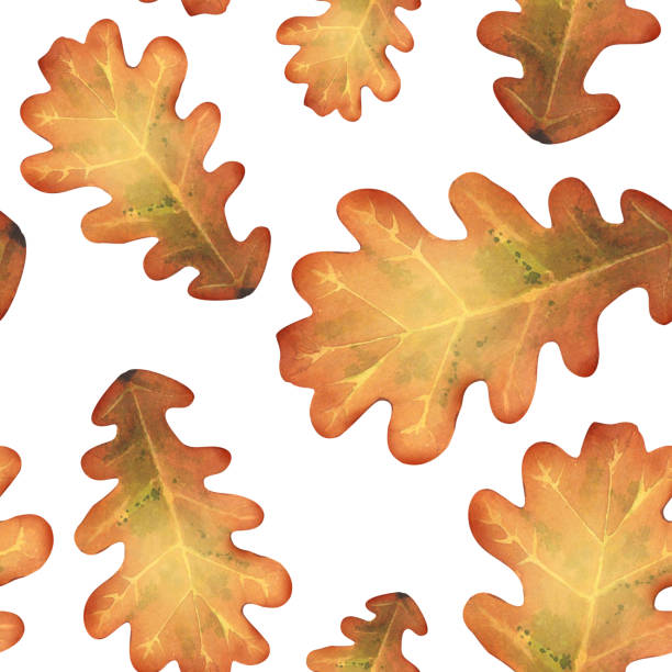 떡갈 나��무 잎의 매끄러운 패턴입니다. 타락한 마른 나뭇잎. 가을 수채화 그림입니다. - falling tree leaf autumn stock illustrations