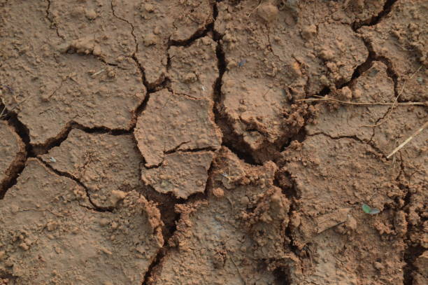 istock brown cracked dry and arid soil texture background, Global Warming and Climate Change. 1716595623