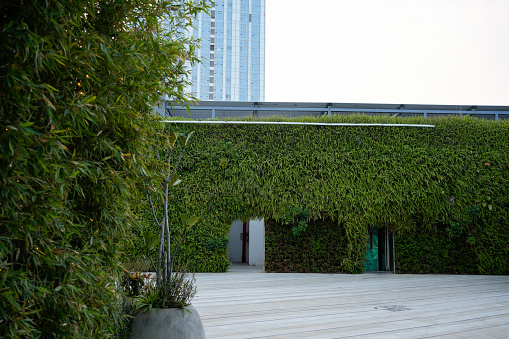 The walls of the park are covered with green plantsz