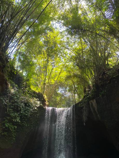 istock Suwat waterfall at Bangli,Bali 1716610028
