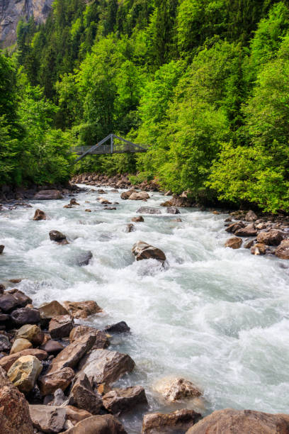 widok na rzekę kander w szwajcarii - waterfall footbridge switzerland rapid zdjęcia i obrazy z banku zdjęć