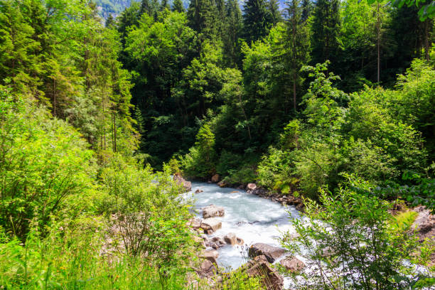 vista del fiume kander in svizzera - waterfall footbridge switzerland rapid foto e immagini stock
