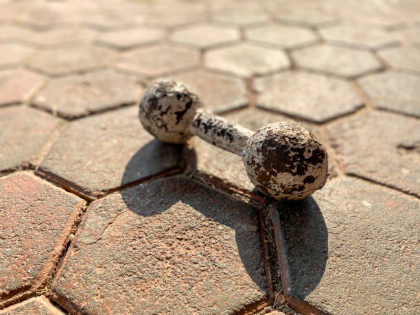 istock Vintage dumbbells on paving floor. 1716629897