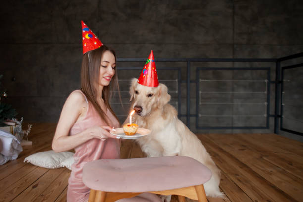 cumpleaños del perro, mujer joven con golden retriever en sombreros festivos celebra el cumpleaños, la niña felicita a su mascota - perro primer cumpleaños fotografías e imágenes de stock