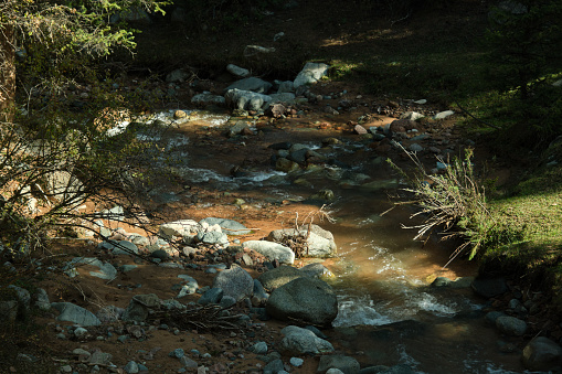 Medium view of mountain stream flowing on rocks