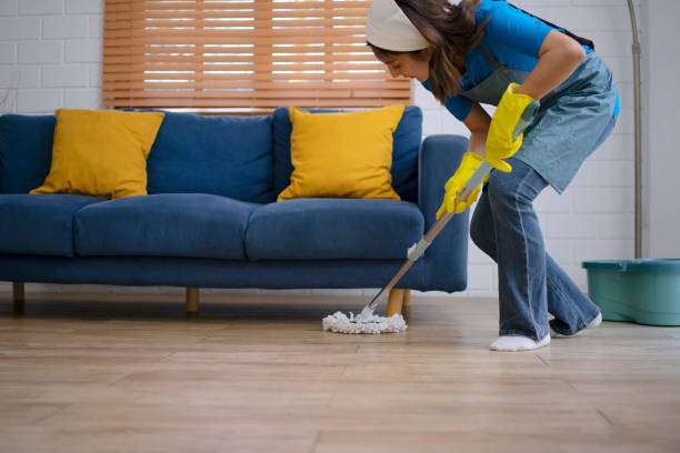 istock House keeper clean living room. 1716728562