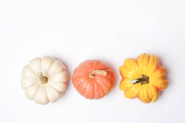istock colorful pumpkins collection isolated on white background 1716732508