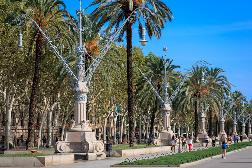 Barcelona, Spain - September 14, 2023: The promenade of the Passeig de Lluís Companys, in the heart of Barcelona.