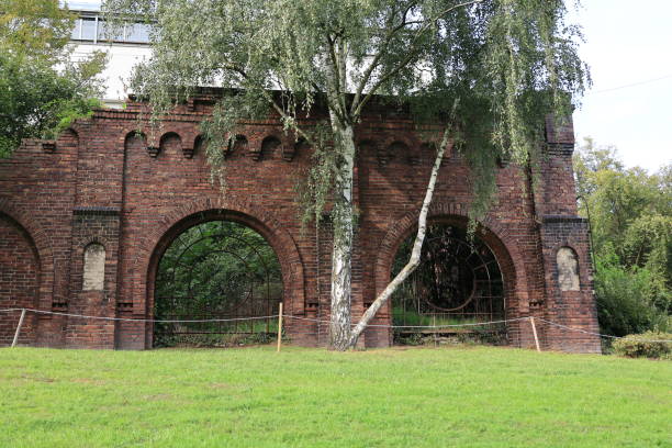 istock Late summer in Maximilian Park in Hamm 1716787117