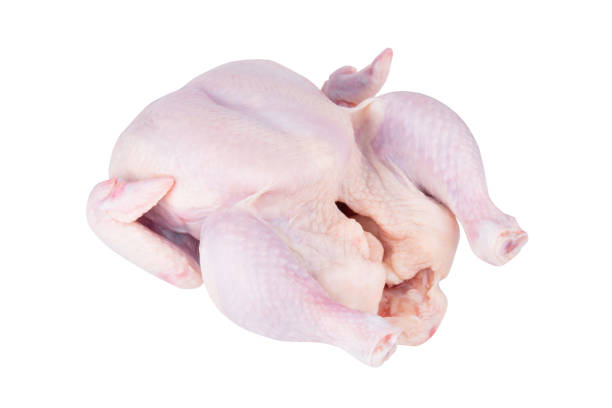 istock A  fresh, whole raw broiler chicken isolated on a white background. 1716810114