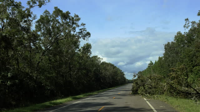 Road transformed after the hurricane: Broken trees and debris roadblock in North Florida. Driving plate