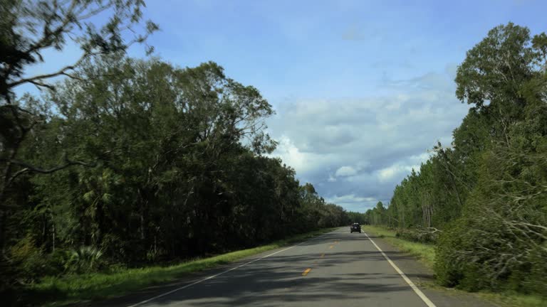 Storm consequences on the highway. Broken trees and debris in surroundings of North Florida. POV of road