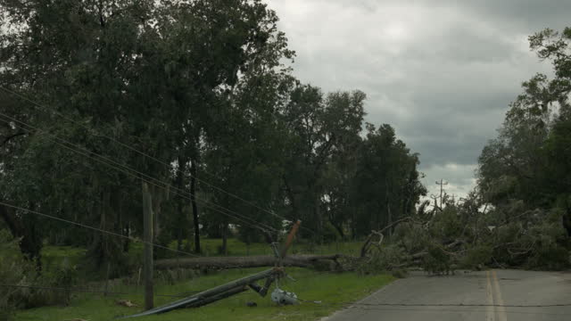 Blackout in small community after hurricane. Roadblock due to broken power lines and tree knock down in Steinhatchee, North Florida.