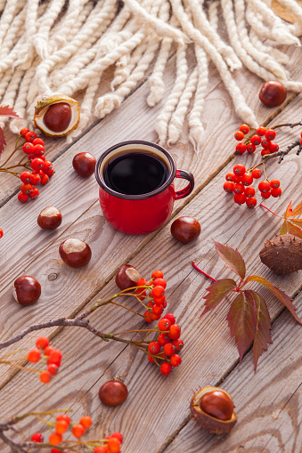 autumn coffee with chestnuts and blanket - food and drink