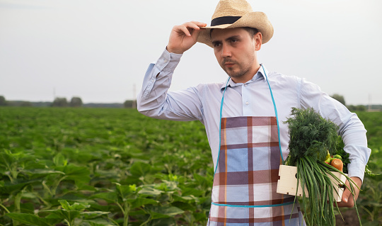 A male organic farmer stands in a vegetable field, holding a wooden box with beautiful freshly picked vegetables, organic vegetables and healthy lifestyle concept.